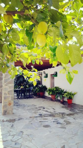 CORTIJO LALO